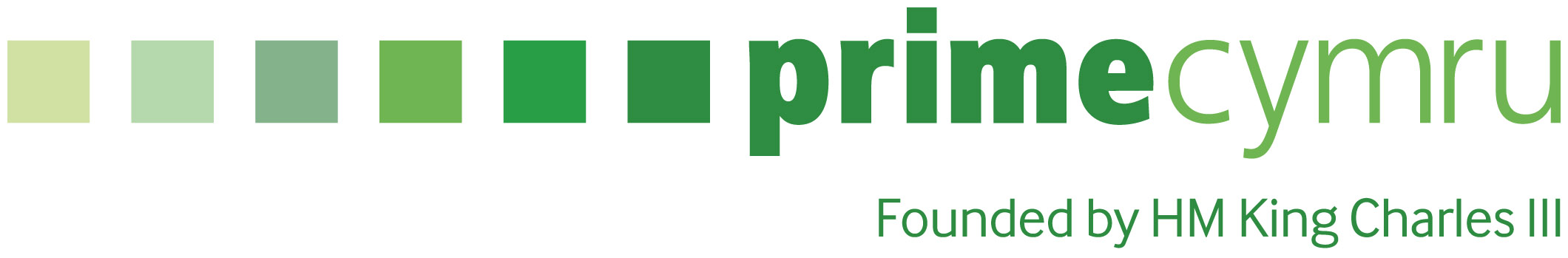 PrimeCymru_Logo_FOUNDED 2024_CMYK